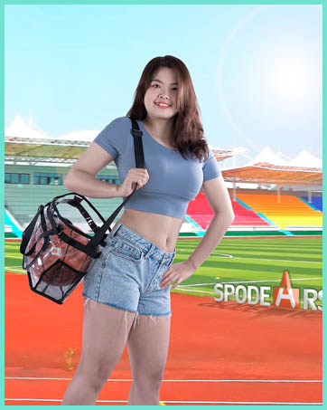 SPODEARS clear stadium bag