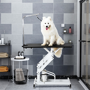 dog grooming table