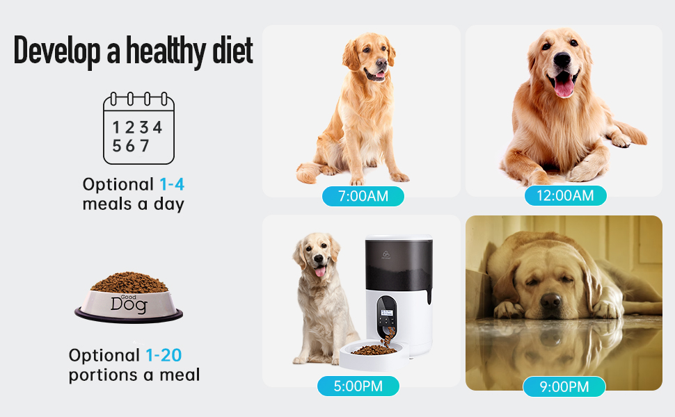 Petoday Automatic Cat Feeder, 6L Timed Cat Feeder with Desiccant Bag