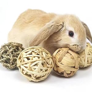 Beiges Kaninchen Neben Drei Geflochtenen Ballspreizeugen. SPIZEUGUG SCHEINT AUS NATÜRULEN MESCHUREN WIE KORBGEFLEFLETER RATTAN