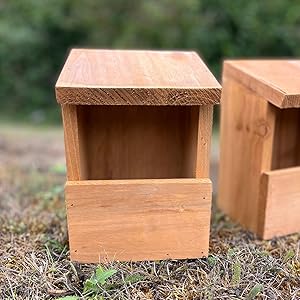 bird house