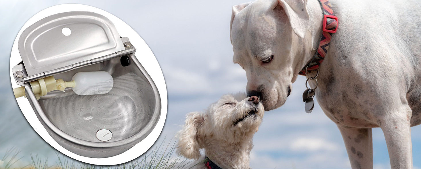Pet Supplies Automatic Dog Water Bowl Dispenser Large Size Pet