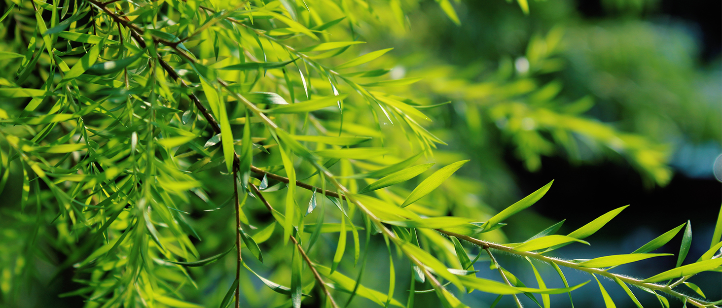 Fopamtri Artificial Eucalyptus Fake Plants 150cm Faux Eucalyptus Artificial Plants Indoor