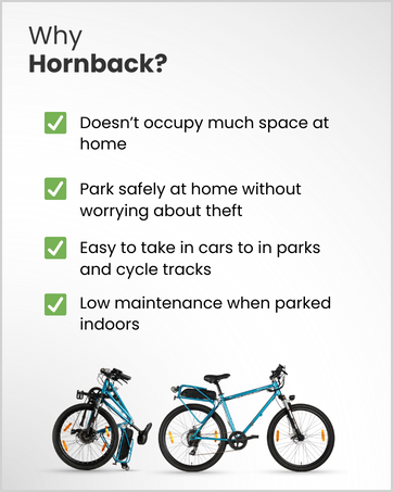 Hornback bicycles