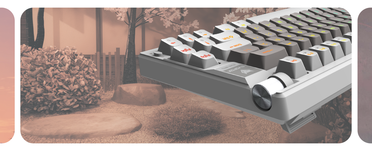 Evofox Ronin TKL Wired Mechanical Keyboard
