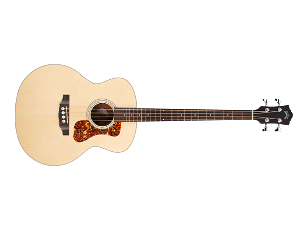 Amazon.com: Guild Guitars B-240E Acoustic Bass, in Natural