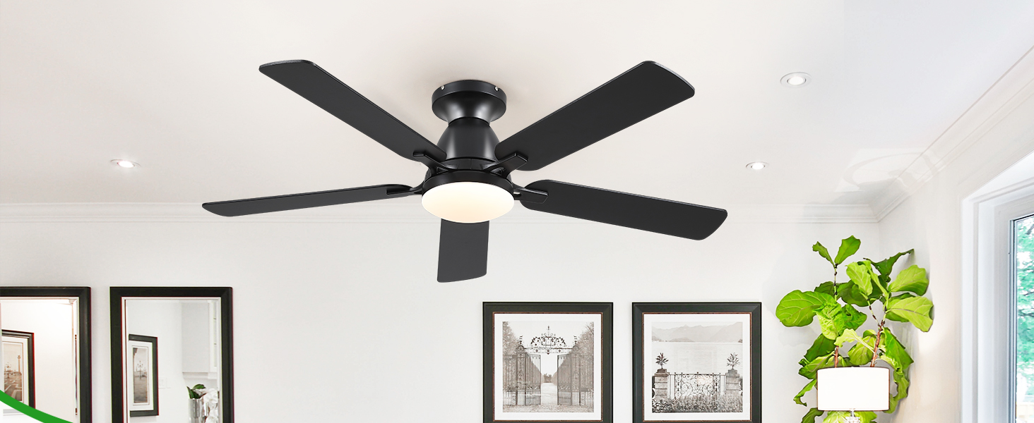  Ceiling Fans