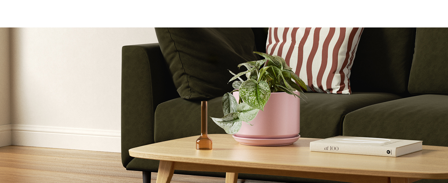 small ceramic plant pots indoor with saucer