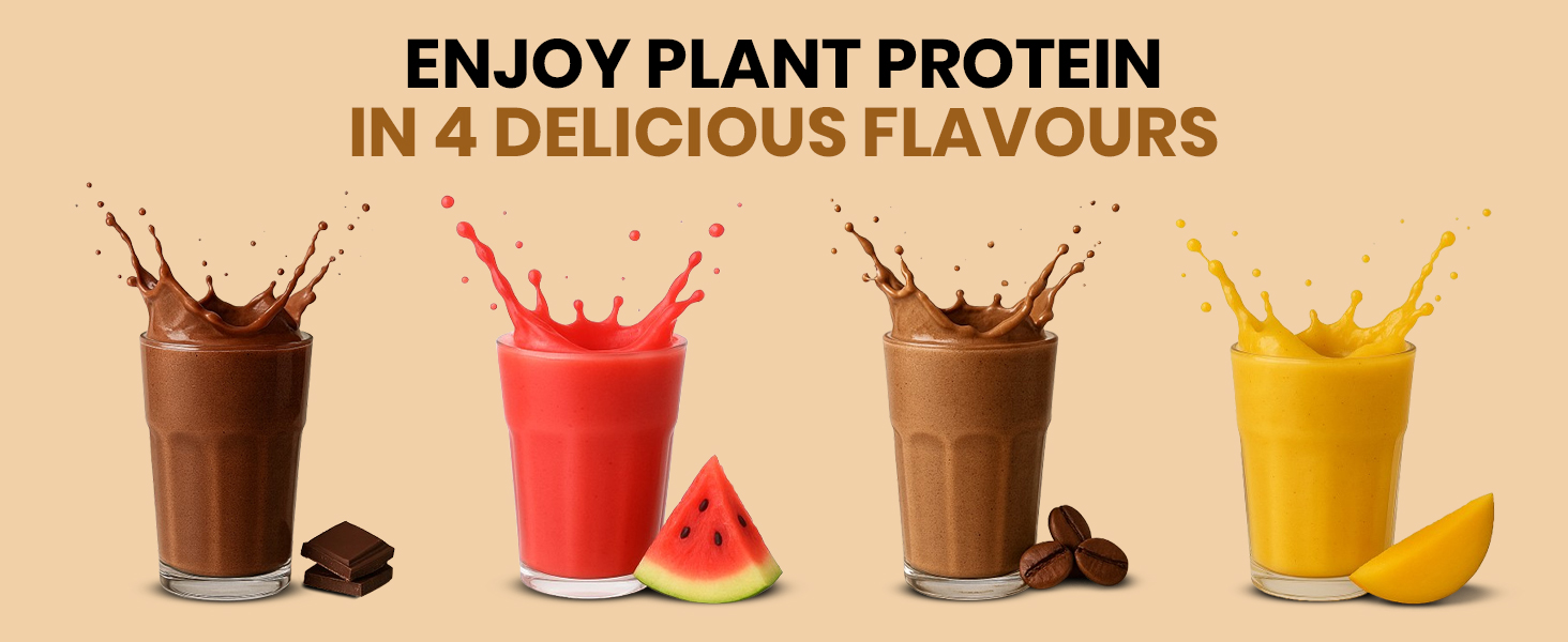 Plant Protein