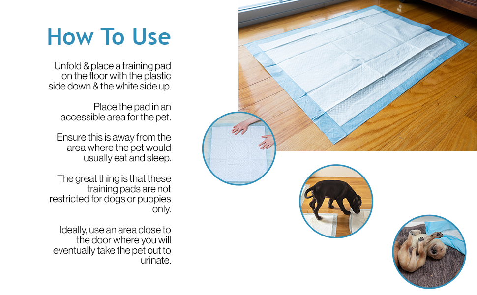 SA Products 50 Pack Large Dog & Puppy Training Pads Super Absorbent