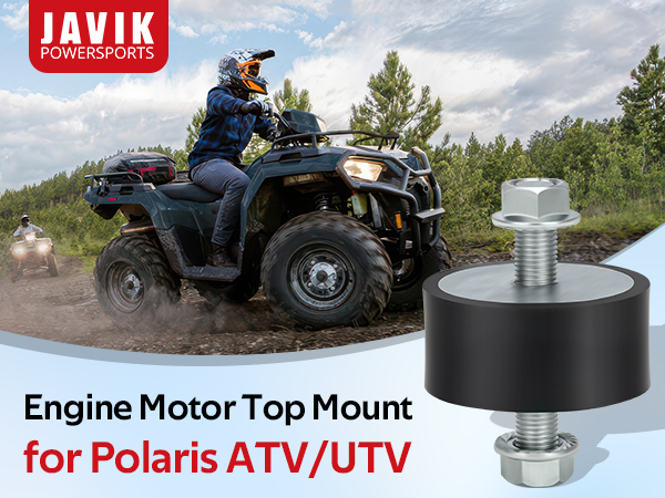 m　0324 Amazon.com: Engine Motor Top Mount Isolator Rubber 3110044