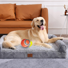 motion activated cat toy