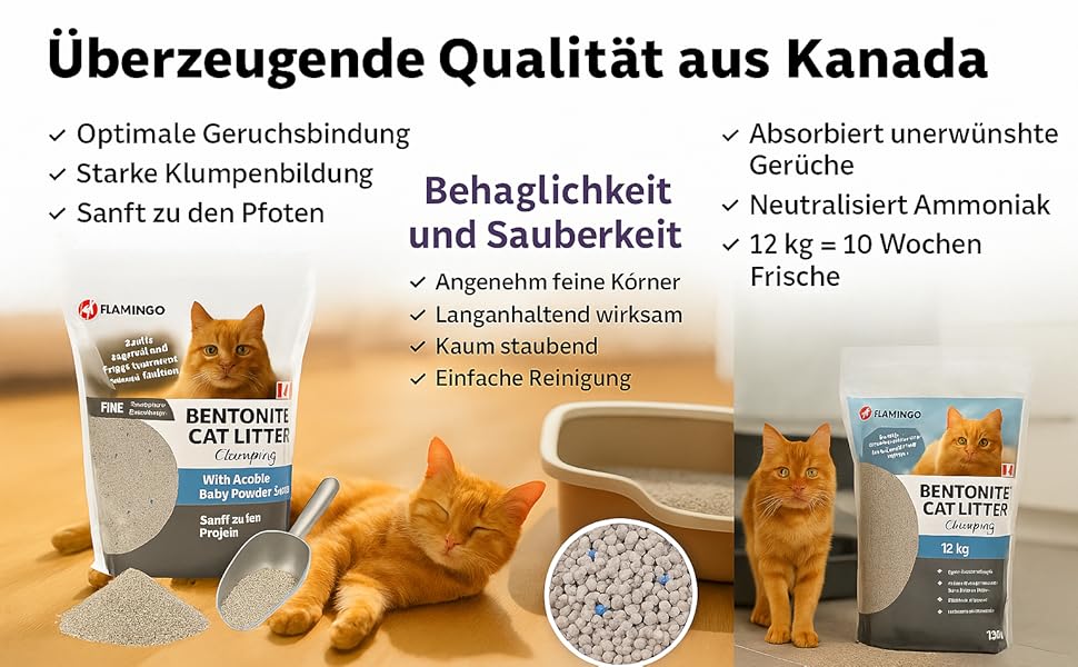 Aplus-Inhaltsbild