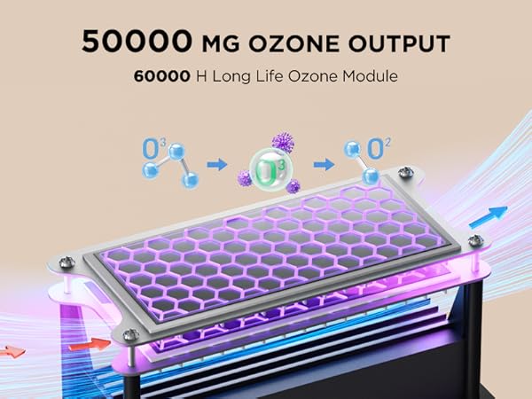 ozone plate