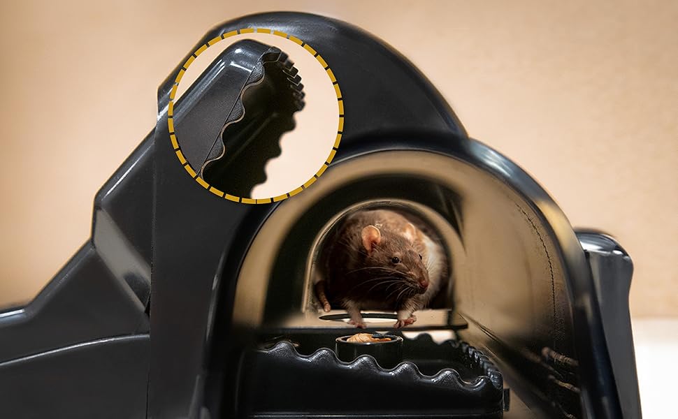 Mouse entering a mini tunnel trap