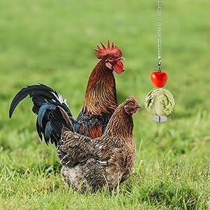 Chicken Veggies Skewer Fruit Holder