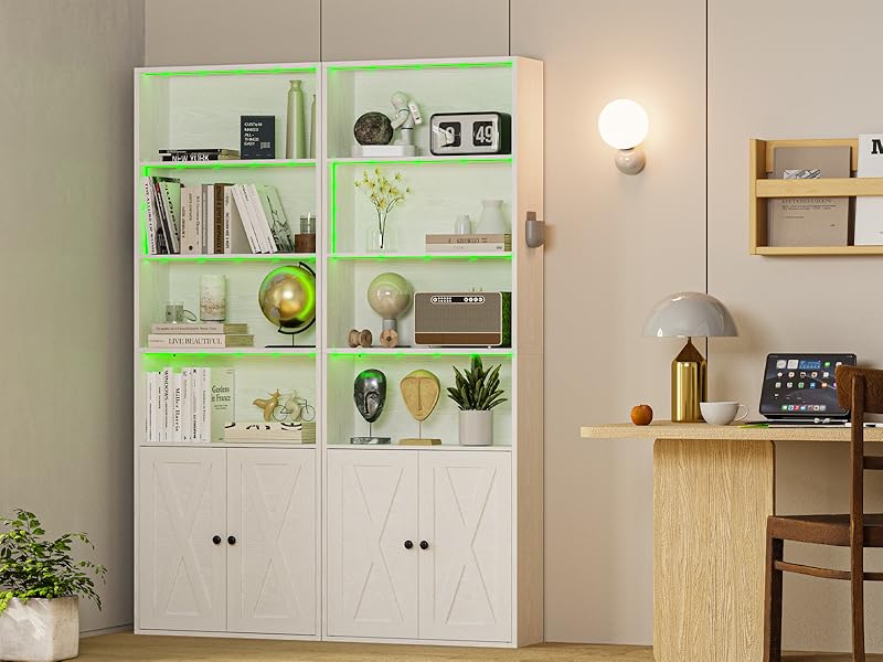 bookcase with doors