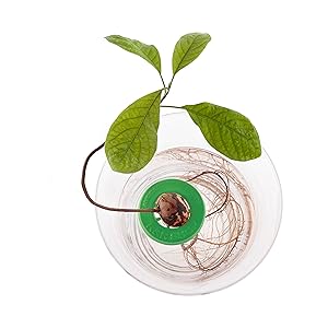 Small manufacture image 1