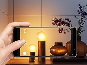 G50 6W LED Light Bulbs