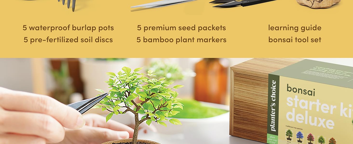 Bonsai 5 Pack