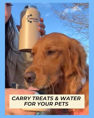 water bottle, insulated water bottle, water bottle with straw, water bottles, air up water bottle