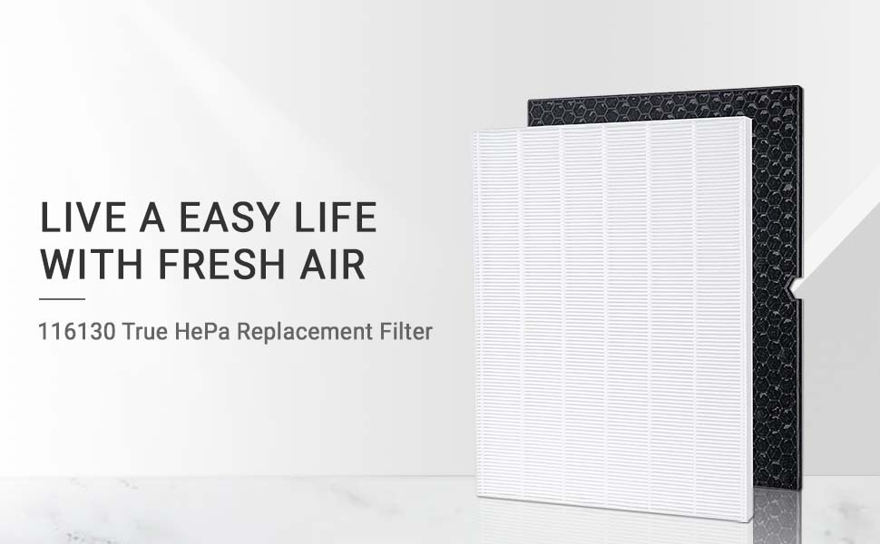 2 Sets 116130 Replacement Filter H for Winix 55002 Air