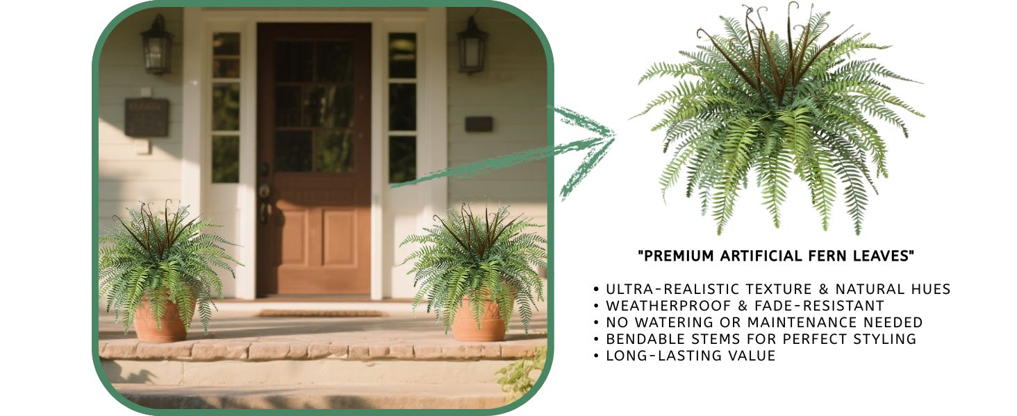 outside plant