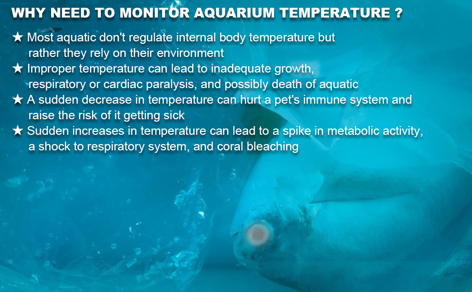 Brewing Thermometer Strip