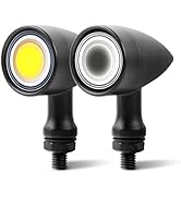 Amazon.com: DREAMIZER Motorcycle Turn Signal Lights 15 LED