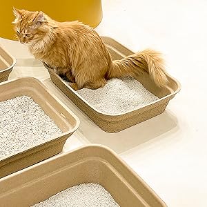Disposable Cat Litter Box Paper Cat Litter Tray Pet Travel Small Animal Clean Sifting Potty
