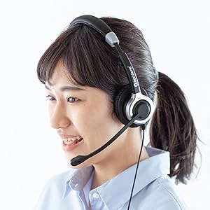 サンワサプライ ノイズキャンセリングマイク付きUSBヘッドセット(両耳タイプ) Amazon.co.jp: サンワサプライ ノイズキャンセリングマイク付き