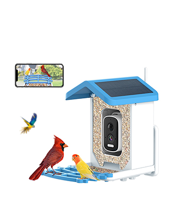 bird feeder