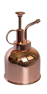 17 OZ gold color water bottle