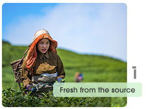 4 Pillars of Our impact 1