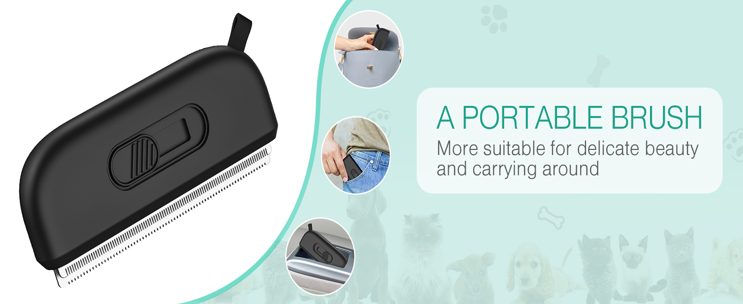 2 in 1 Portable Brush Set
