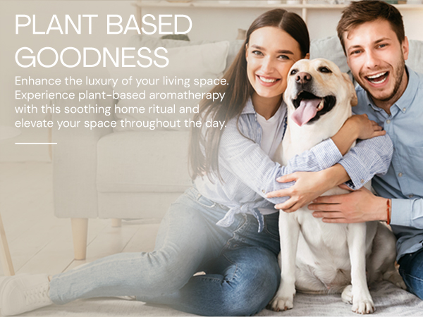 urine odor eliminator human odor remover for house couch pet odor remover room freshener spray