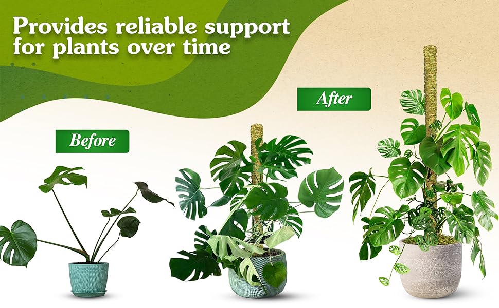 WEMOSS 2Pack 38'' Natural Stackable Moss Pole for Plants