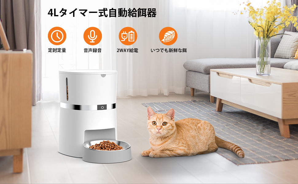 Amazon | WellToBe 自動給餌器 猫 中小型犬用 タイマー式 猫