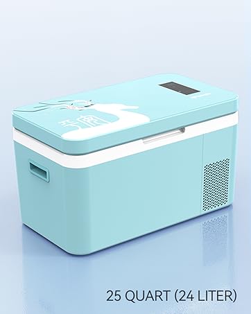 Unlock Uninterrupted Cold: Your Definitive Guide to the World of Portable Freezers