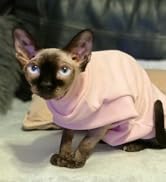 Small Dogs Jumpers Soft Fleece Vest Dog Sweatshirt, Puppy Kittens Winter Clothes Warm Jacket Coat...