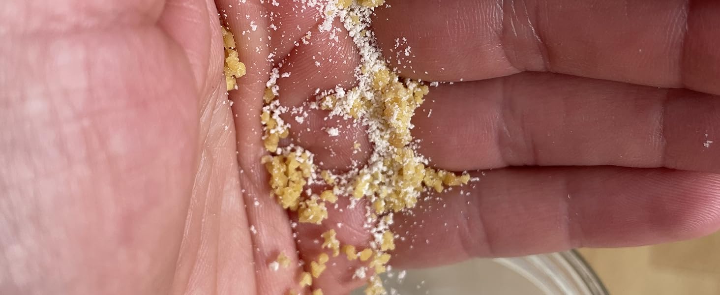 hand dropping dehydrated kefir grains into jar of milk; kefir starter grains; organic kefir;