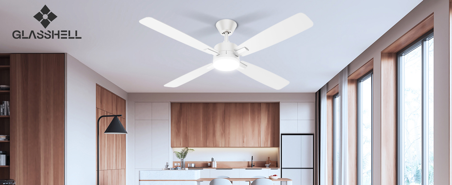 ceiling fan