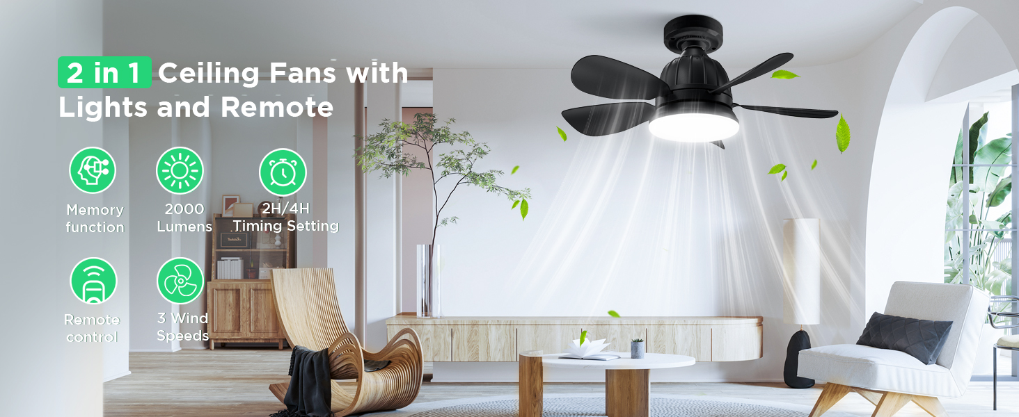 Socket Fan Light