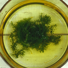 Small manufacture image 5