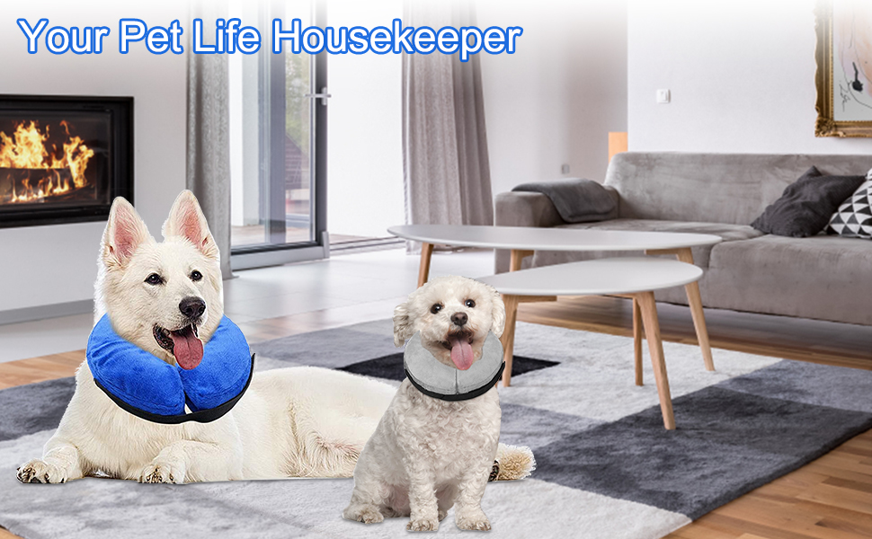 AKOFIC Inflatable Collar for Dogs and Cats, Comfy Dog Protective Inflatable Cone Pet Recovery