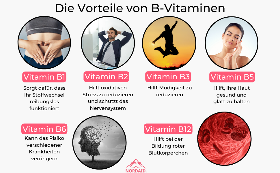 vitamin b complex forte vitamin b complex liquid vitamin b complex children vitamin b complex spray