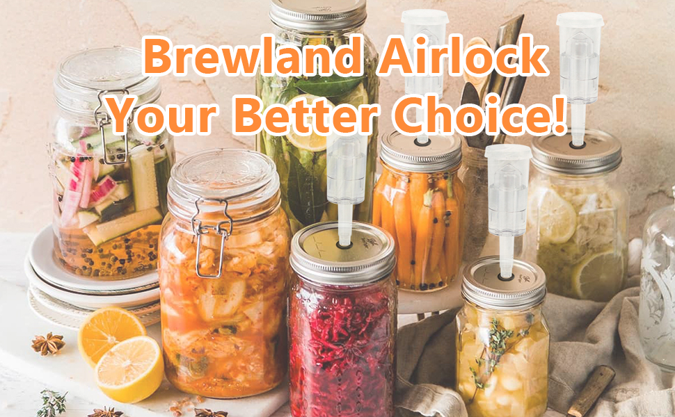 Brewland 6 Packs 3 Piece Airlocks for Fermenting with 6