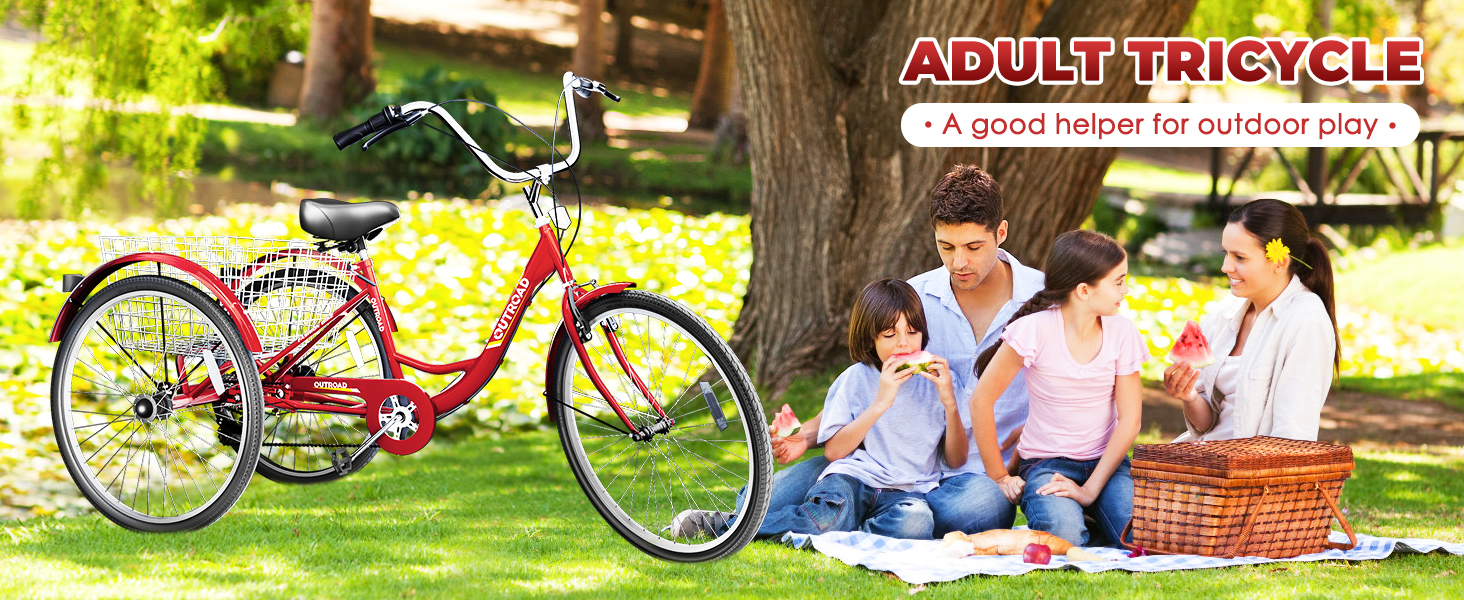 adult trike