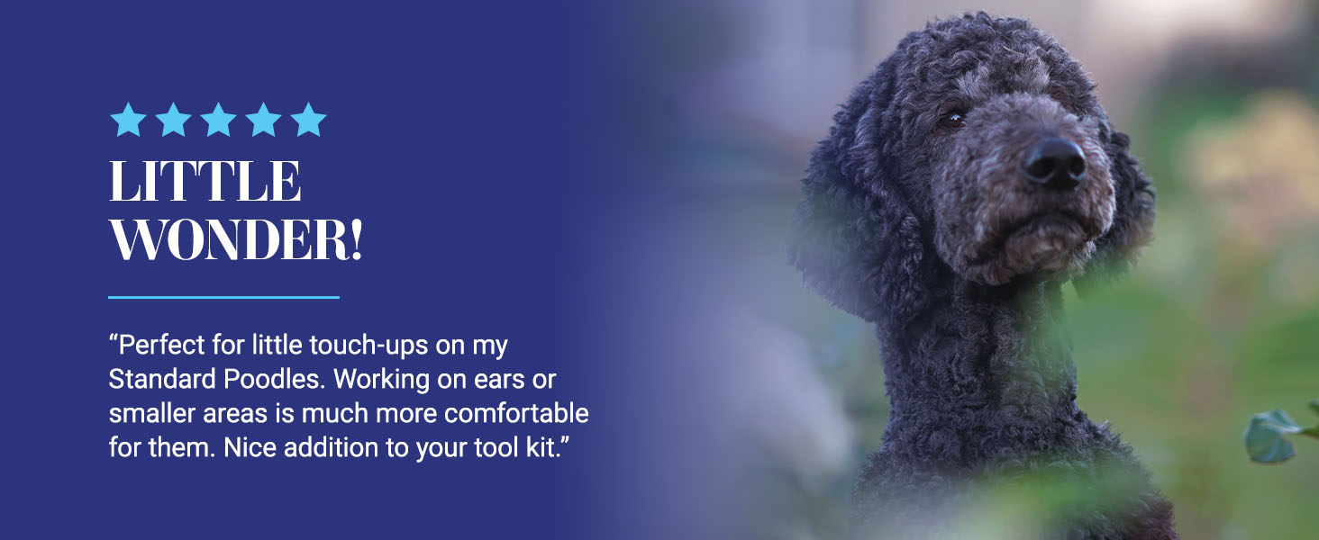 Chris Christensen 'Little Wonder' Original Pin Brush review. Perfect for touch-ups.