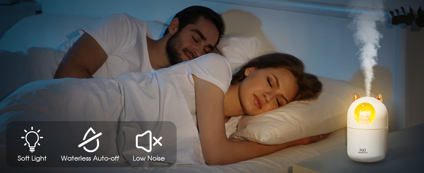 small humidifier